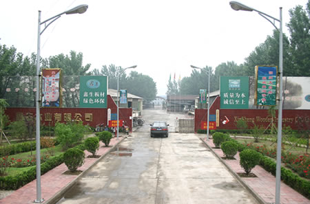 �D����˾���T���� �c���ɷŴ�