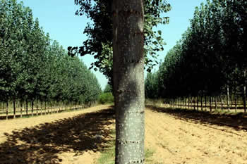 �D���ӱ��İ�����1 �c(di��n)���ɷŴ�