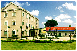 �D����˾����2 �c���ɷŴ�