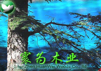 �D��從�ľ�I(y��) �c(di��n)���ɷŴ�