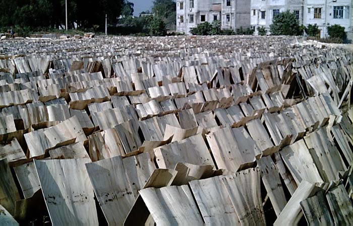 �D���ΰ��� �c(di��n)���ɷŴ�