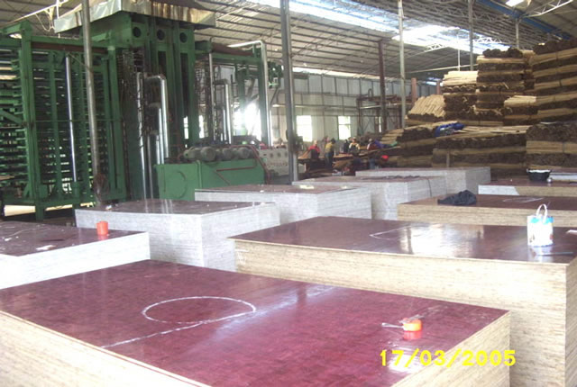 �D�����a(ch��n)܇�g �c(di��n)���ɷŴ�