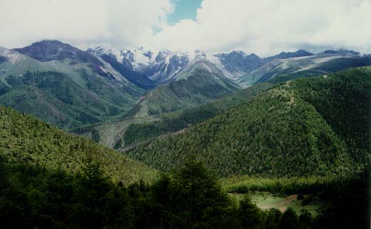 �D������ �c(di��n)���ɷŴ�