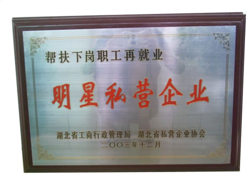 �D������˽�I��I(y��) �c���ɷŴ�