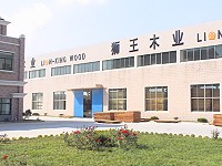 �D��lionkingtimber �c(di��n)���ɷŴ�