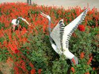 �D���S�^(q��)���@ �c���ɷŴ�