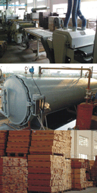 �D�����a�^�� �c���ɷŴ�