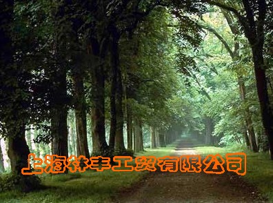 �D����I(y��)��(bi��o)־ �c(di��n)���ɷŴ�