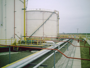 �D���S�^(q��)һ�� �c���ɷŴ�