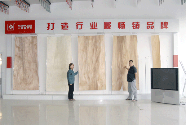 �D���ΰ�չ�d �c(di��n)���ɷŴ�