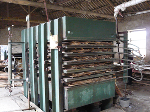 �D�����a(ch��n)��r �c���ɷŴ�