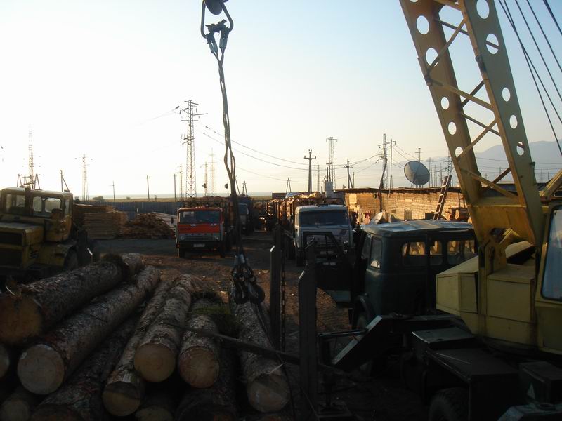 �D�����_˹����ԭľ���ˣ� �c(di��n)���ɷŴ�