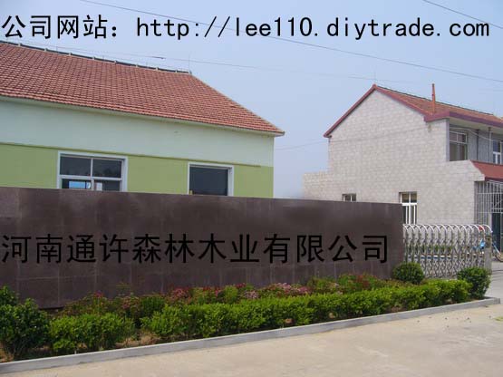 �D����˾���T(m��n) �c(di��n)���ɷŴ�