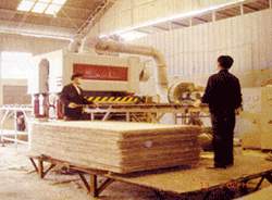 �D��sanding �c���ɷŴ�