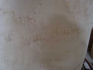 �D����ľȸ�� �c���ɷŴ�