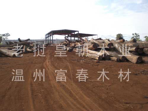 �D�����ݸ����ϓ�ľ�Ĺ��Sһ�� �c(di��n)���ɷŴ�