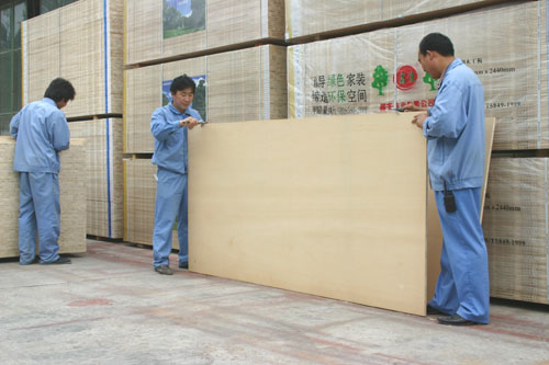 �D�����ɲ�  �A�İ� �c���ɷŴ�