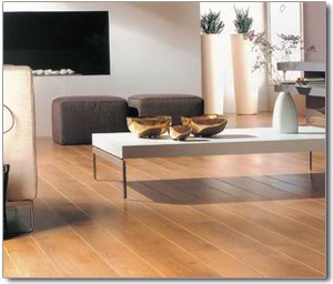 �D��2 �c���ɷŴ�