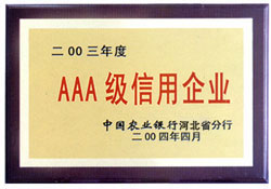 �D��AAA��������I(y��) �c���ɷŴ�