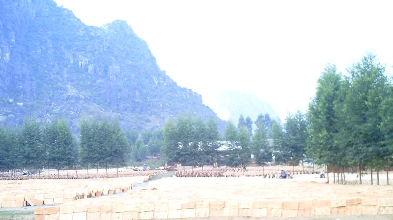 �D���F���������^(q��)��_�а�S �c���ɷŴ�