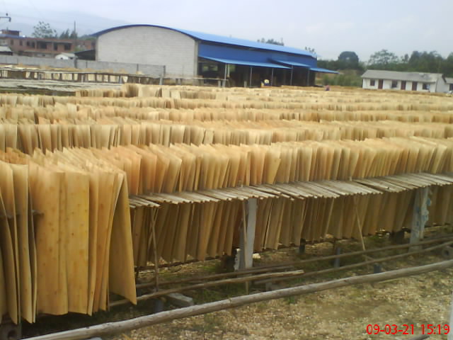 �D�����(sh��)�ΰ� �c(di��n)���ɷŴ�