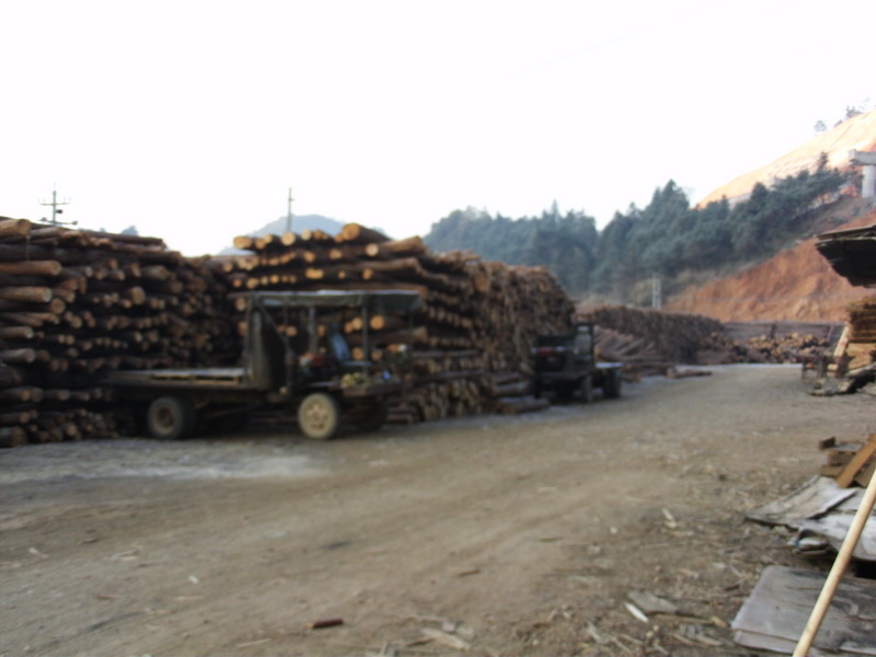 �D���S�� �c���ɷŴ�