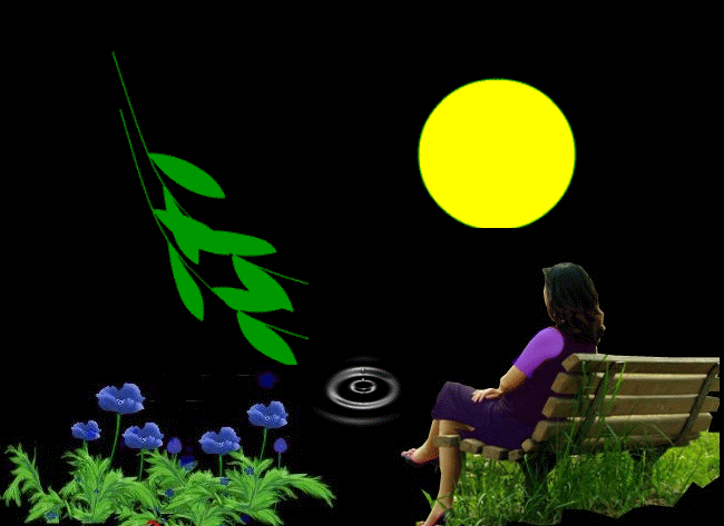 �D����˾һ�� �c���ɷŴ�