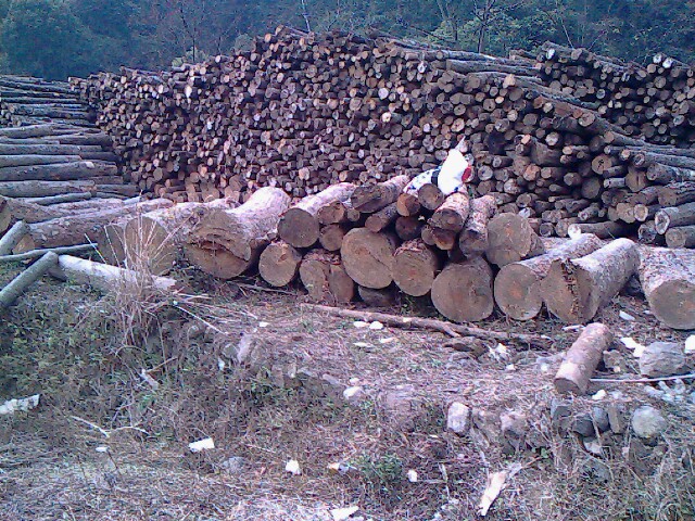 �D����(ch��)�Ĉ�(ch��ng)��2�� �c(di��n)���ɷŴ�