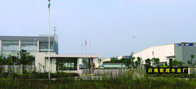 �D����˾һ�� �c���ɷŴ�