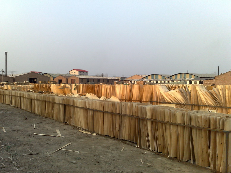 �D������� �c���ɷŴ�