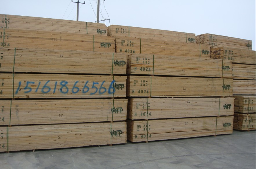 �D���K���M(j��n)��ľ����̫�}����������� �c���ɷŴ�