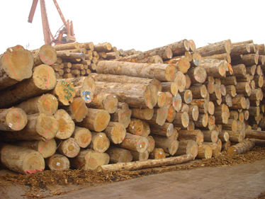 �D����˾ľ�� �c(di��n)���ɷŴ�