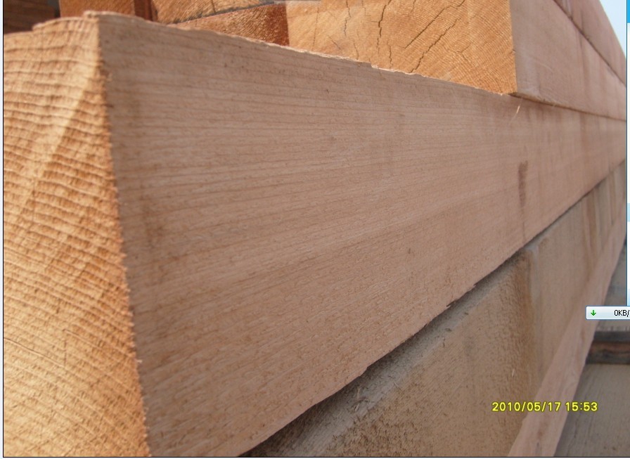 �D���t��� �c���ɷŴ�