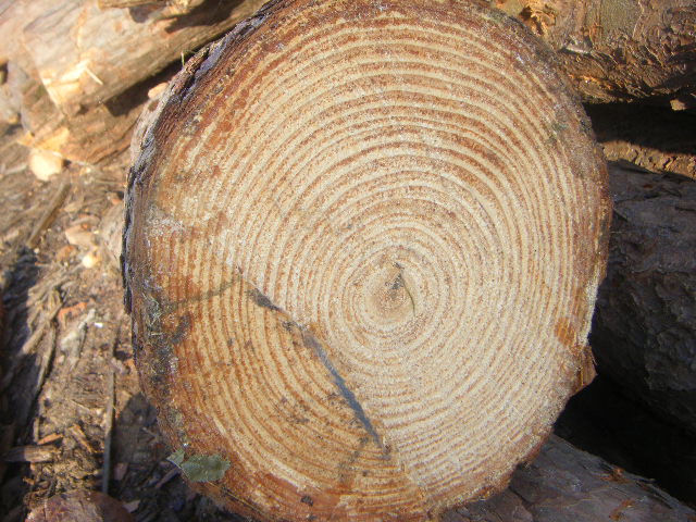 �D������-���Ʒ-�a(ch��n)Ʒ �c���ɷŴ�