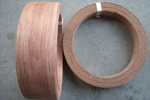 �D�������߅�l �c(di��n)���ɷŴ�