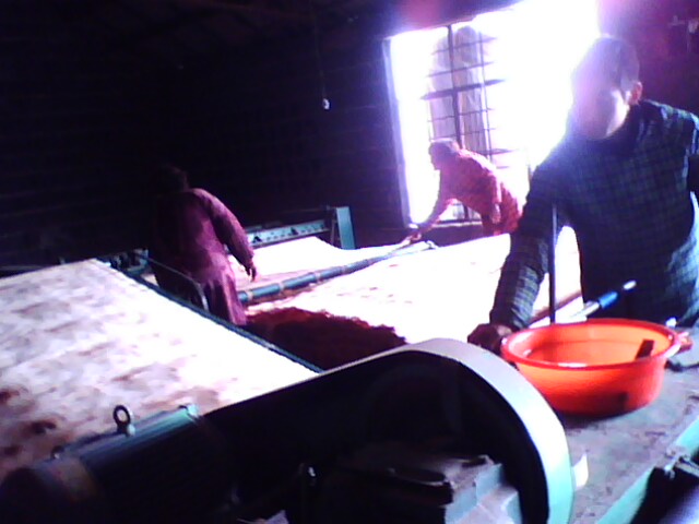 �D�����a(ch��n)���� �c���ɷŴ�