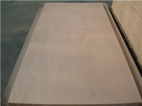 �D����ľ������ �c���ɷŴ�