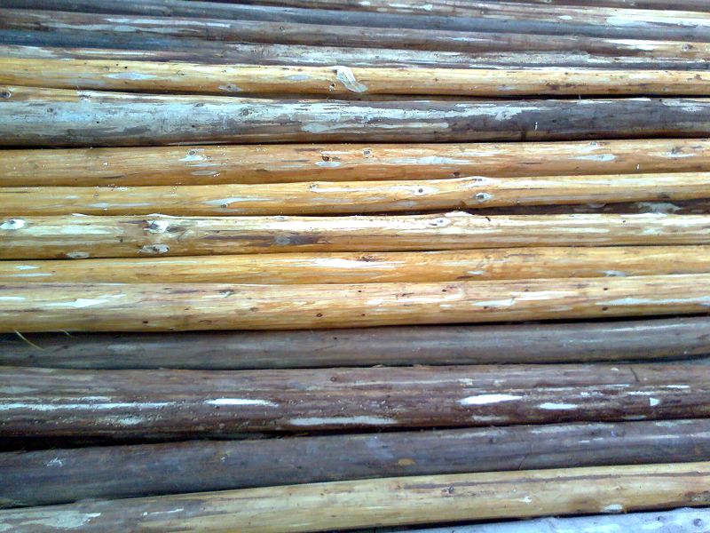 �D���_�� �c(di��n)���ɷŴ�