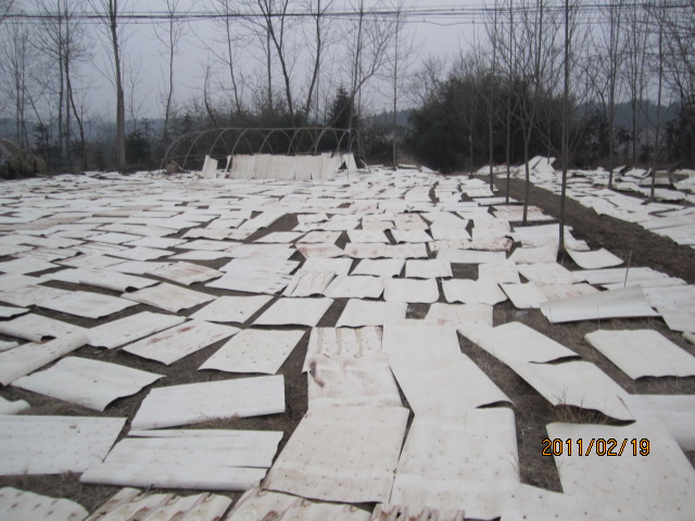 �D�����ľ�ΰ� �c(di��n)���ɷŴ�