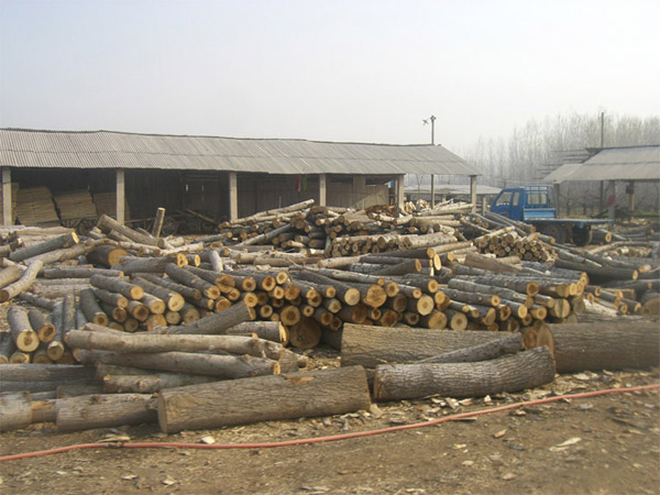 �D�����S�DƬ �c���ɷŴ�