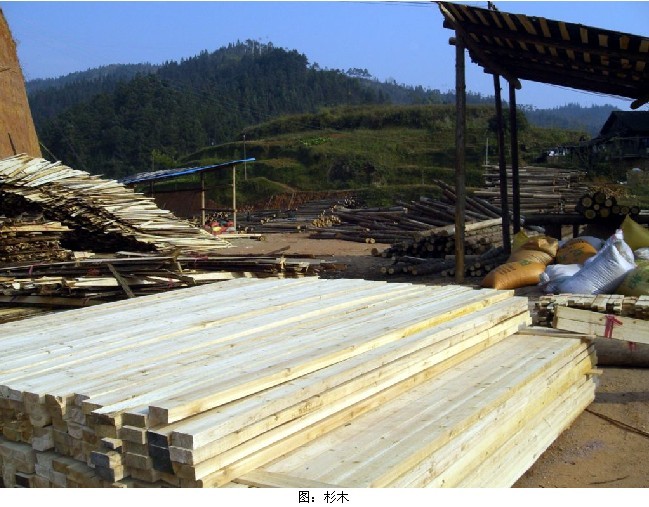 �D���������̣�ɼľ��(bi��o)��(zh��n)�����l �c(di��n)���ɷŴ�