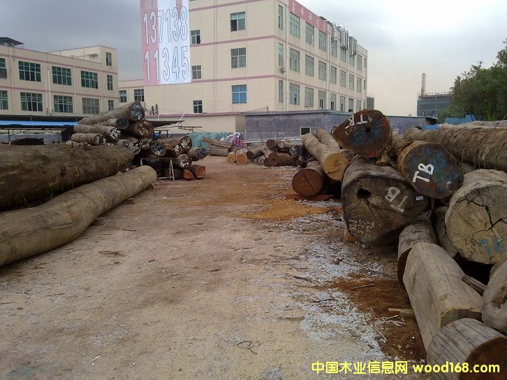 �D���S�^(q��)ȫ�� �c(di��n)���ɷŴ�