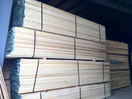 �D������ �c���ɷŴ�