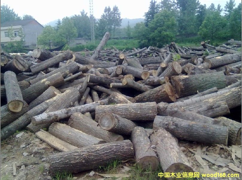 �D����(ch��ng)�،�(sh��)�� �c(di��n)���ɷŴ�