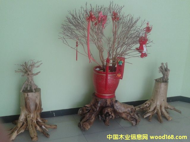 �D����˾һ̎��(n��i)�� �c(di��n)���ɷŴ�