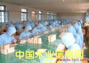 �D�����a(ch��n)܇�g �c(di��n)���ɷŴ�