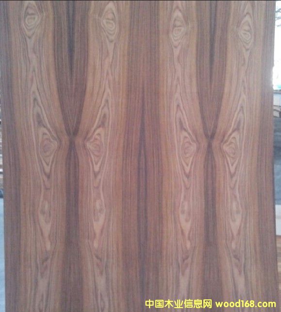 �D����֦��� �c(di��n)���ɷŴ�