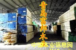 �D������ �c���ɷŴ�