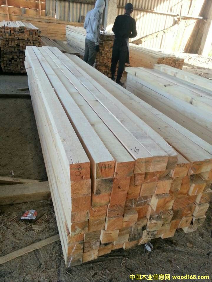 �D�����ɳɲ� �c(di��n)���ɷŴ�