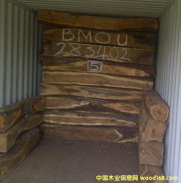 �D���b����ľ�� �c(di��n)���ɷŴ�